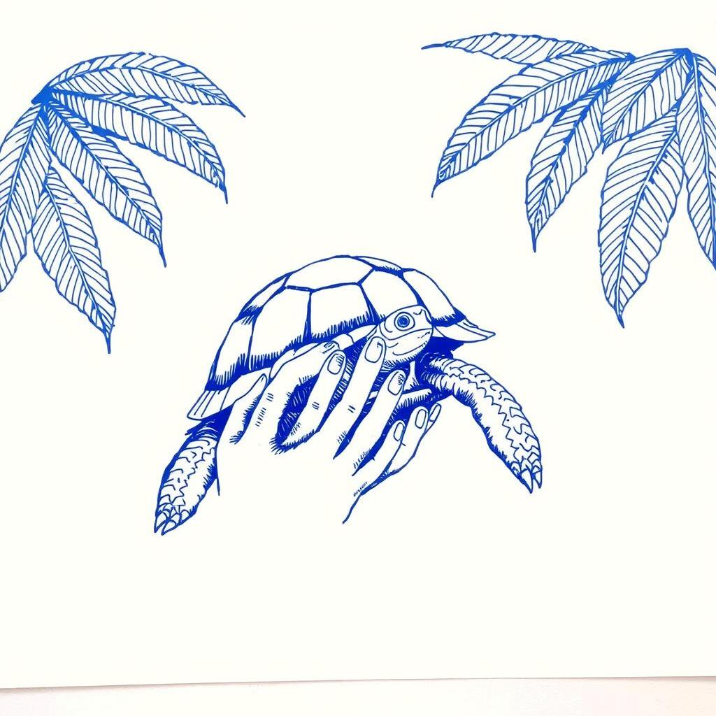 Tortue retrouvée